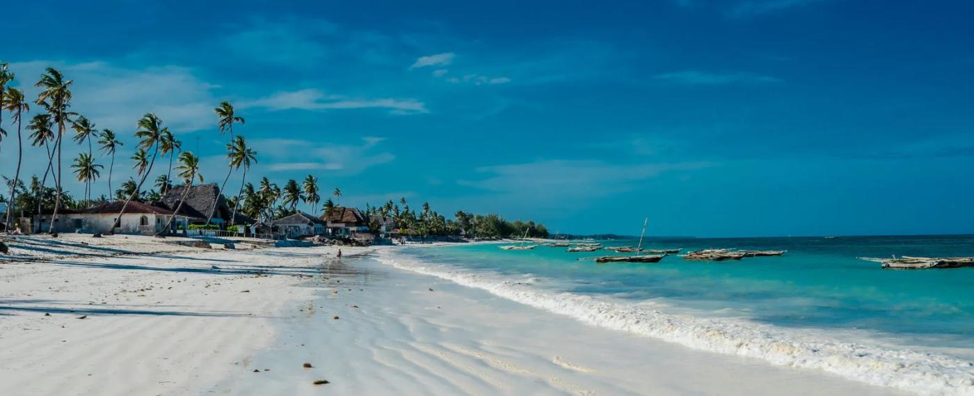 When is the Best Time to Visit Zanzibar?