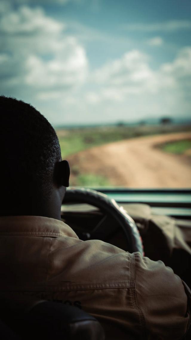 Mikumi Safari Day Trip